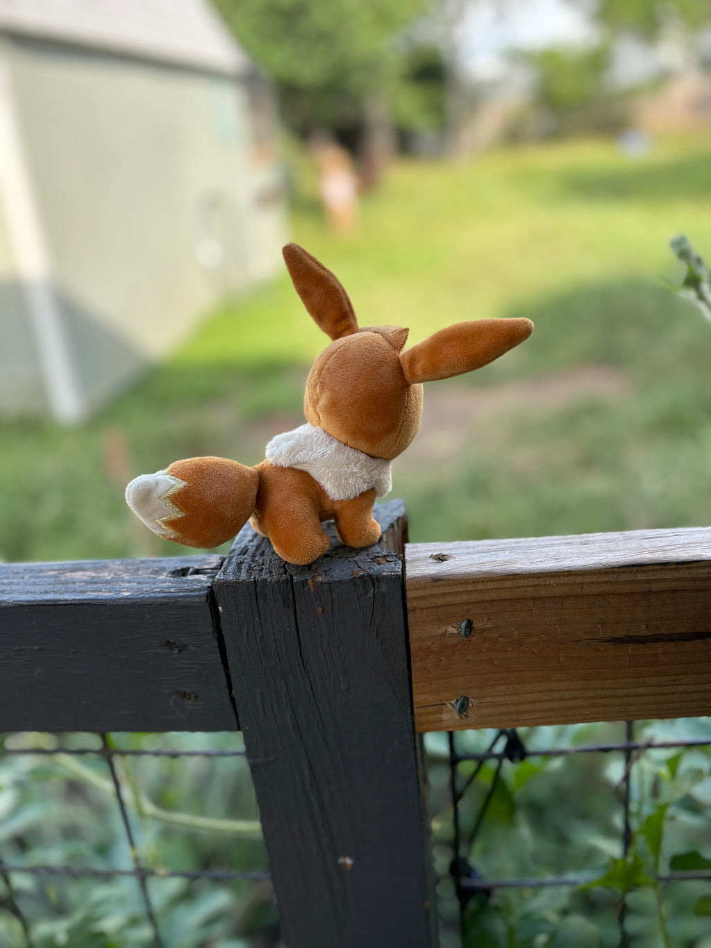 Pokémon Eevee Plushie