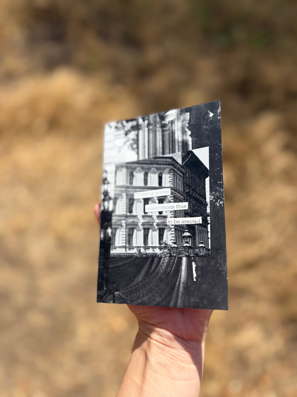 collage 4 of 4