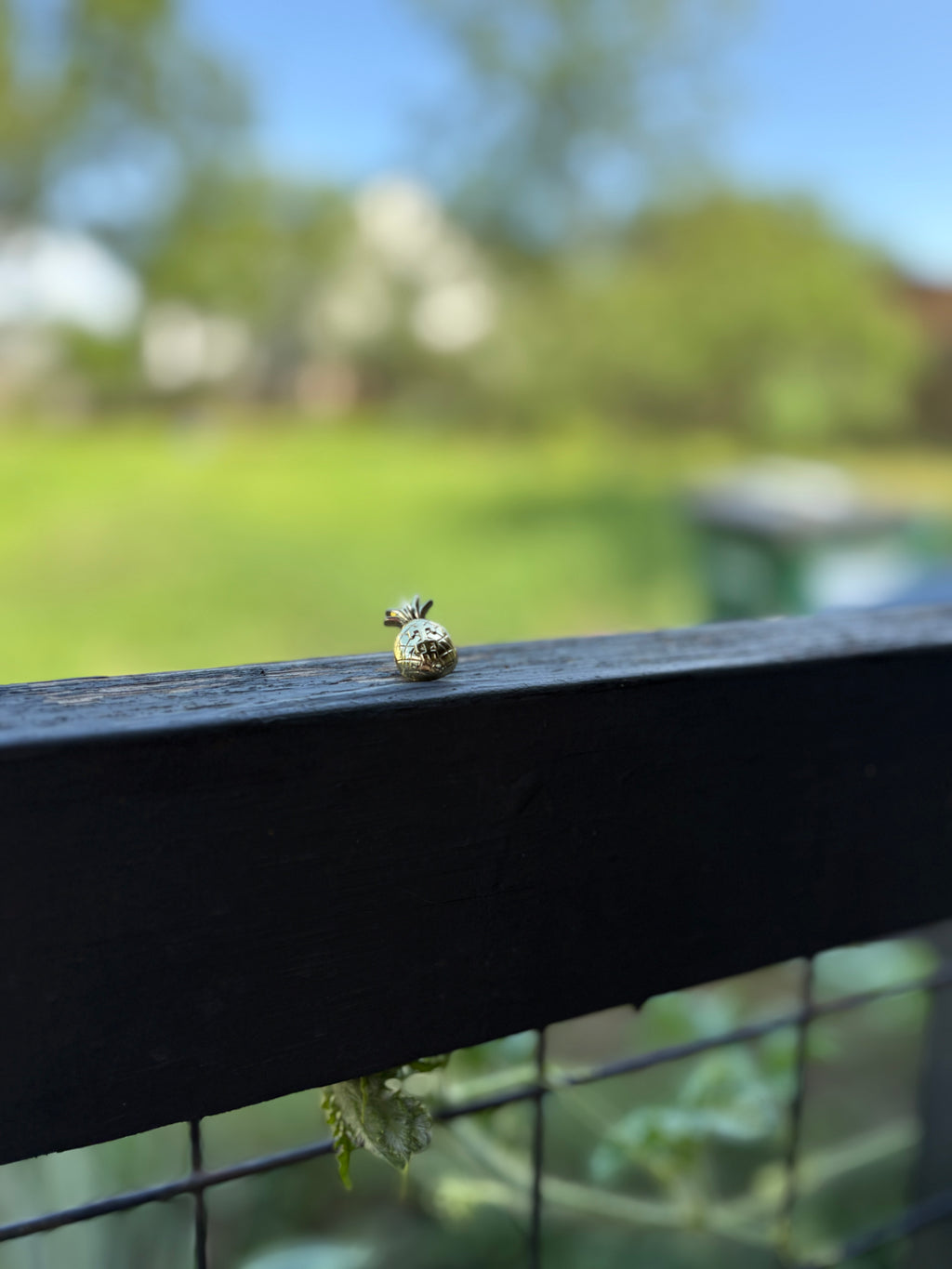 early 00s pineapple pin
